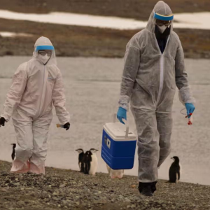 The WHO has raised concerns about the spread of H5N1 bird flu, noting its "extraordinarily high" mortality rate in humans.