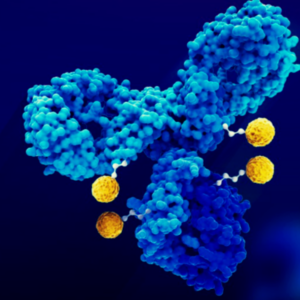 Major pharmaceutical companies invest in groundbreaking ADC technologies, aiming to revolutionize cancer treatment and expand market opportunities. Image: Magic Cece