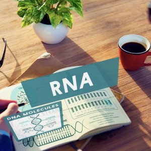 Moderna Launches mRNA Platform Incubator Network to Boost Australian mRNA Research