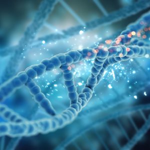 Novel Supramolecular Carriers Help CRISPR-Cas9 Enter Cells Effectively