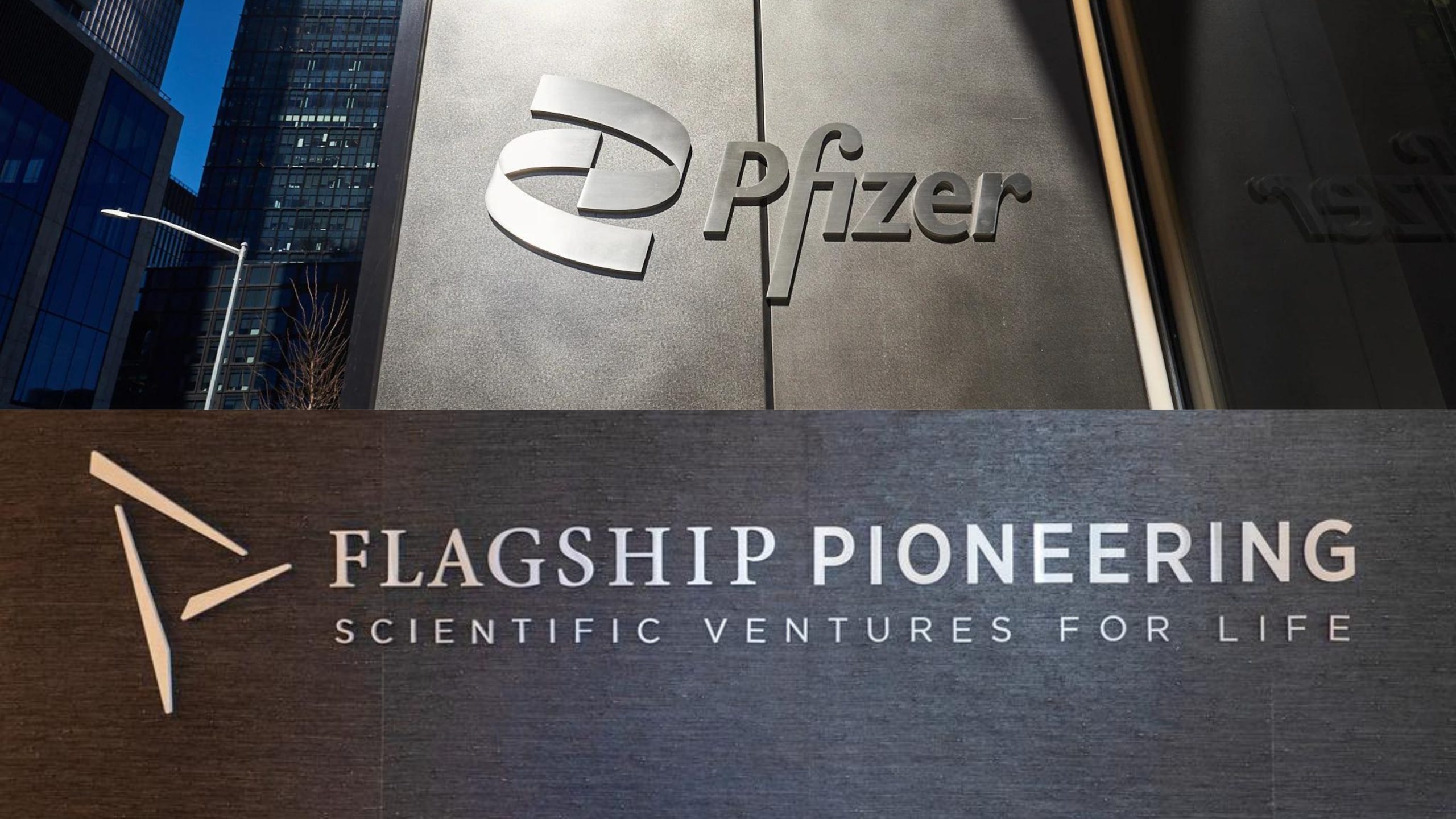 Pfizer Partners with Renowned Life Sciences VC to Build Pipeline