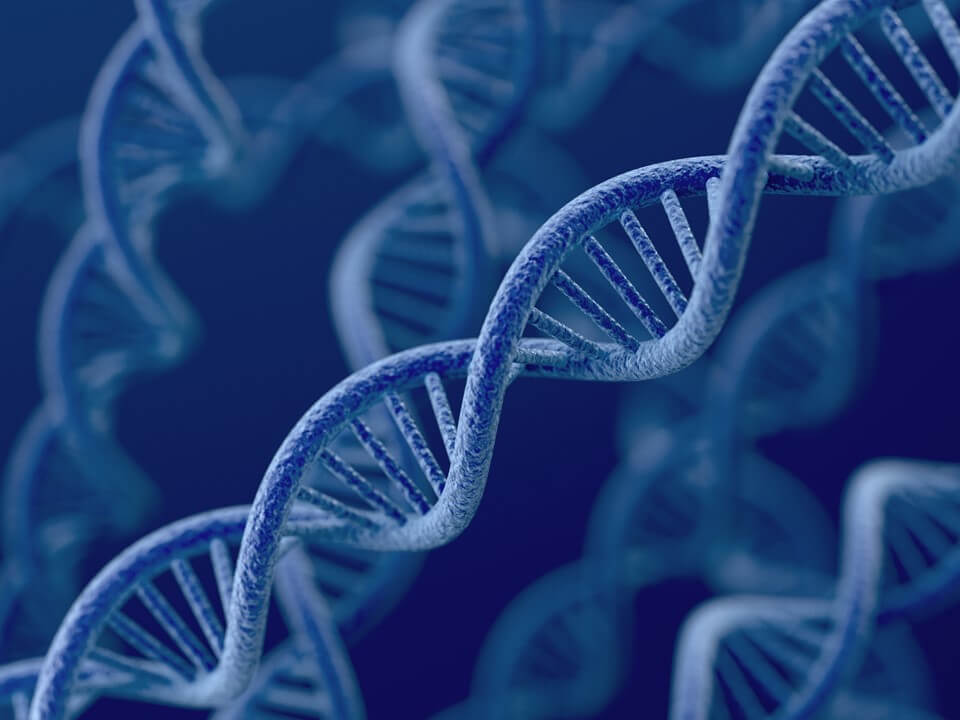 Bluebird Bio’s Zynteglo Becomes First FDA-Approved Gene Therapy For ...