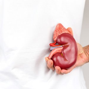 Everest, Calliditas Win First Approval for Rare Kidney Disease Drug in Europe