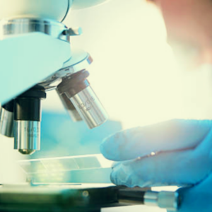 The 2025 J.P. Morgan Healthcare Conference highlights breakthroughs, strategic partnerships, and innovations in neurodegenerative diseases, cancer, and pain management.