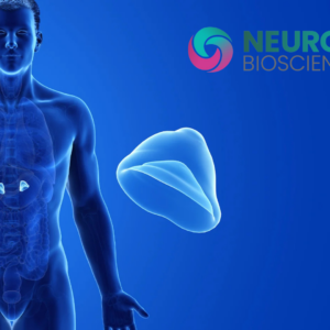 The FDA has now approved Neurocrine Biosciences' Crenessity to treat classic congenital adrenal hyperplasia (CAH), a rare and potentially fatal endocrine disorder.
